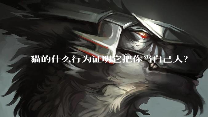 猫的什么行为证明它把你当自己人？