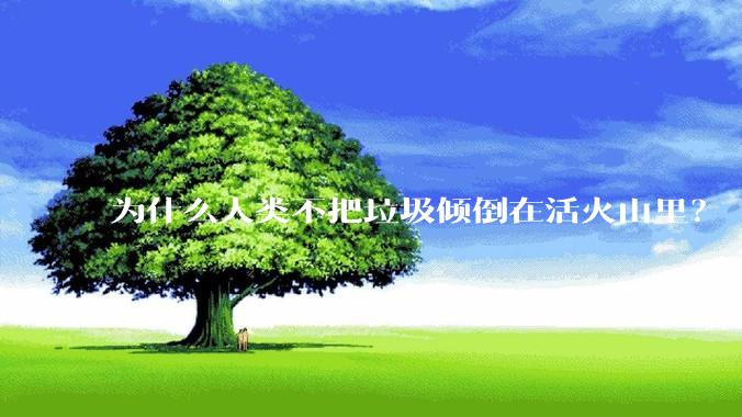 为什么人类不把垃圾倾倒在活火山里？