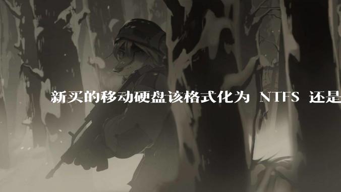 新买的移动硬盘该格式化为 NTFS 还是 exFAT？