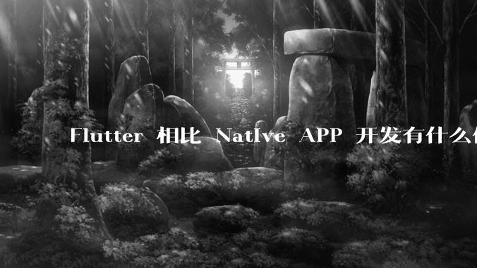 Flutter 相比 Native APP 开发有什么优势?
