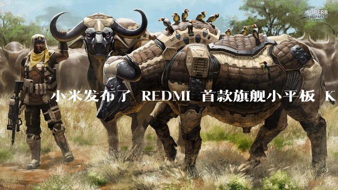 小米发布了 REDMI 首款旗舰小平板 K Pad，仅 8.8 英寸，小巧便携，如何评价这一设计？