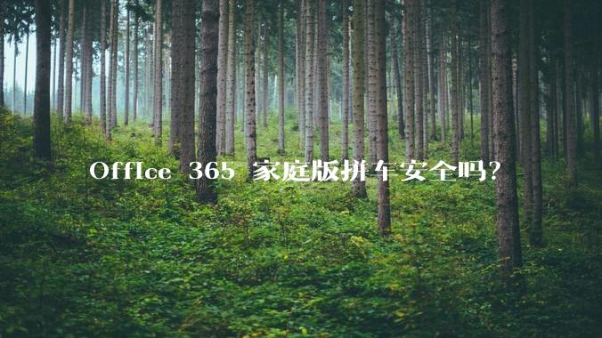 Office 365 家庭版拼车安全吗？