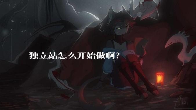 独立站怎么开始做啊？