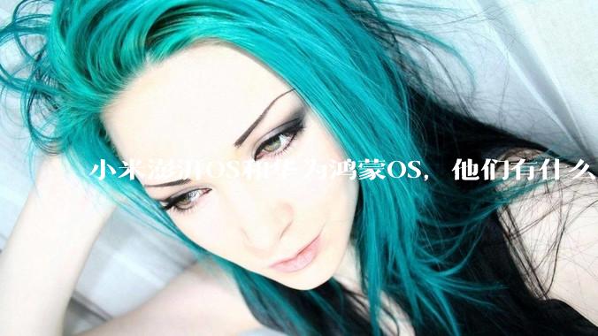 小米澎湃OS和华为鸿蒙OS，他们有什么不一样，谁更有发展前途？