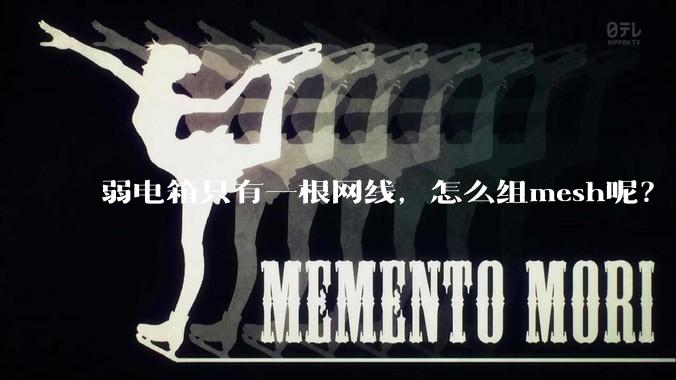 弱电箱只有一根网线，怎么组mesh呢？