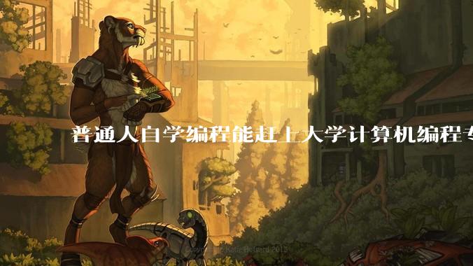 普通人自学编程能赶上大学计算机编程专业的水平吗？
