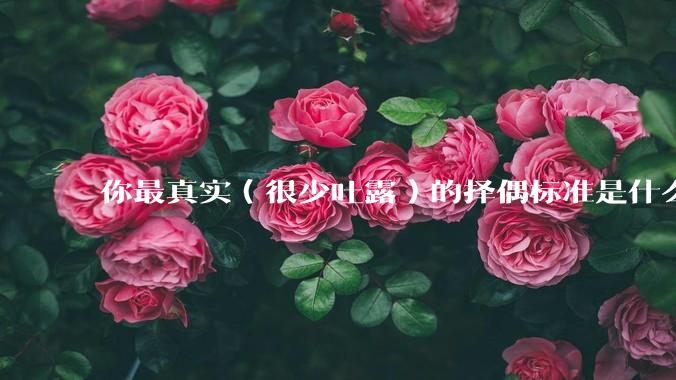 你最真实（很少吐露）的择偶标准是什么？