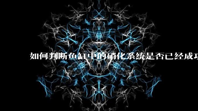 如何判断鱼缸中的硝化系统是否已经成功建立？